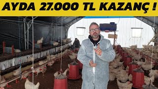 500 TAVUK AYDA KAÃ‡ PARA KAZANDIRIR  Ã‡Ä°FTLÄ°K KURMA MALÄ°YETÄ° VE AYLIK KAZANCI [upl. by Reinaldo]