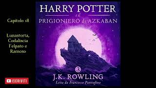 Harry Potter e il Prigioniero di Azkaban Audiolibro Italiano letto da Francesco Pannofino Capitolo18 [upl. by Ahsilad]