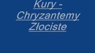 Kury  Chryzantemy Złociste [upl. by Cairns]