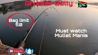 OFFROAD4LIFE Fishing Grunter Gully Durban South Africa [upl. by Deelaw]