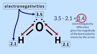 Factors affecting Solubility 1Nature of Solute and Solvent [upl. by Ainotahs]