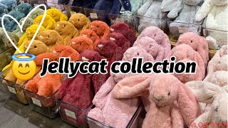 JELLYCAT COLLECTION ✨ SHOULD I GET MORE jellycat haul subscribe [upl. by Habas]