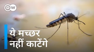 मच्छरों की डीएनए बदलने में जुटे वैज्ञानिक Wiping out mosquitoes to fight malaria [upl. by Okikuy22]