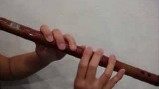 Basic introduction of the Dizi Chinese Bamboo Flute [upl. by Evot333]