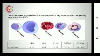 1 Hematological disorders [upl. by Clovah823]