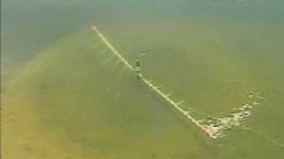 wwwWeedersDigestcom Beachgroomer lake weed removal muck [upl. by Utimer]