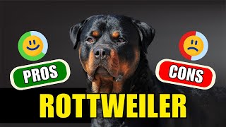 Rottweiler Should You Get One The Pros and Cons Explained [upl. by Idel]