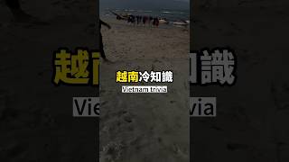 你們猜的到是什麼嗎❓我一開始以為是酒吧拜拜為了生意好…vietnam danang trivia beach 越南 峴港 海邊 冷知識 [upl. by Faunia]