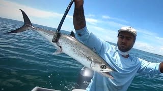 Pesca de Macarena y Pargo en Punta Uva Caribe Sur Costa Rica [upl. by Constancia592]