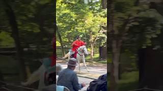 Horseback Archery🎯🐎 japanjapantravelkyotokyototriptraditionalshrine京都京都観光旅行日本の風景流鏑馬 [upl. by Pellegrini]