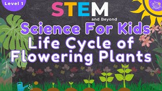 Life Cycle of Flowering Plants  Science For Kids  STEM Home Learning [upl. by Lotson475]