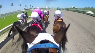 Luca Panici Jockey Cam Ride the Race with EquiSight at Gulfstream Park in HD [upl. by Nibbs]