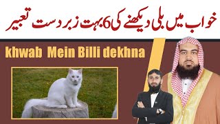 Billi dekhne ki 6 bahut Jabardast Tabeer  khwab ki Tabeer  qari m khubaib  m Awais  DWI Official [upl. by Goggin]