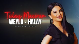 Tülay Maciran  Weylo Kürtçe Halay Remix  Türkü Trap Remix 2024 [upl. by Sisto354]