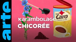 Chicorée  Karambolage  ARTE [upl. by Carlye]