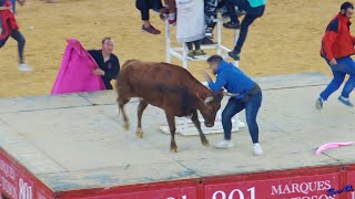 ✅ZARAGOZA 24 ◾ ESPECIAL Mañanas Vaquilleras [upl. by Aibsel793]