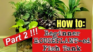 🪴🐟‼️How to Build a Beginner HOUSEPLANTed Fish Tank PART 2‼️🐟🪴 [upl. by Odiug551]