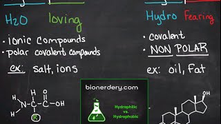 Hydrophilic vs Hydrophobic [upl. by Senhauser]