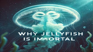 WHY JELLY FISH IS IMMORTAL [upl. by Magel]