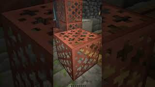 Meet the new Copper Bulbs in Minecraft [upl. by Roderick]