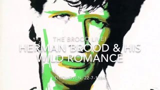 Herman Brood amp his Wild Romance  quotVeronicas Zomer Tour Livequot Eindhoven 2271984 [upl. by Ettevad]