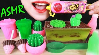 ASMR EDIBLE CACTUS POTS GARBAGE CANDY NIK L NIP WAX BOTTLE CHOCOLATE SPOONS EATING SOUNDS 咀嚼音 먹방 [upl. by Careaga514]