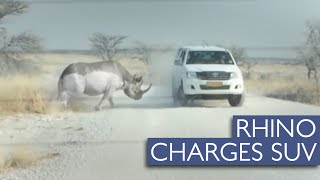 Rhino Charges A SUV Filled With Tourists [upl. by Yllom]