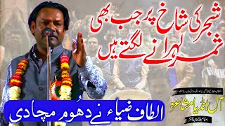 All India Mushaira At Buldhana Me Altaf Ziya Ne Kalam Padh Kar Dhoom Macha Di شجر کی شاخ پر [upl. by Enoid]