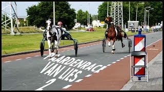 Paardenrace van Lies 2  Compilatie [upl. by Ahsilac]