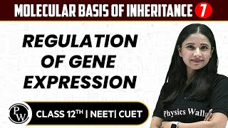 Molecular Basis of Inheritance 07  Regulation of Gene Expression  Pure English  12th  NEETCUET [upl. by Junna]