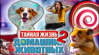 НОВАЯ ТАЙНАЯ ЖИЗНЬ Домашних Животных 2 Собака Джина и Хомяк Эдди  Elli Di Pets [upl. by Sinegold]