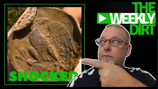 Metal Detecting Finds 2019  Im Shocked [upl. by Sokil494]