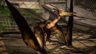 Pteranodon Sound Effects [upl. by Novehs]