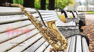 Tenor Saxophone  Sound Effect [upl. by Jarrow]