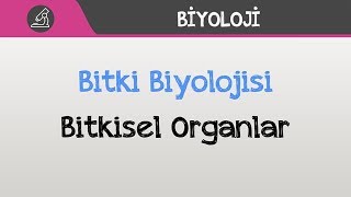 Bitki Biyolojisi  Bitkisel Organlar [upl. by Akirderf]