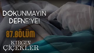 Kızlar mafyanın elinden kurtulabilecek mi  Kırgın Çiçekler 87Bölüm [upl. by Yeneffit]