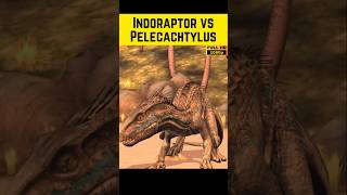 Who wins Suprannotitan Spinoraptor Nundagosaurus Pelecachtylus Indoraptor [upl. by Sarge]