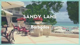 Celestielle 359 Sandy Lane Barbados [upl. by Siletotsira]