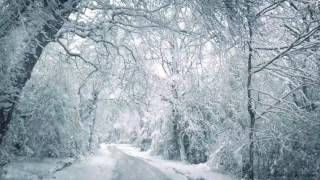 Blizzard Sounds for Sleep Relaxation amp Staying Cool  Snowstorm Sounds amp Howling Wind in the Forest [upl. by Melitta]