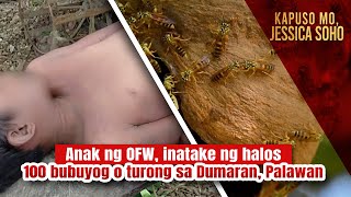 Anak ng OFW inatake ng halos 100 bubuyog o turong sa Dumaran Palawan  Kapuso Mo Jessica Soho [upl. by Clauddetta]