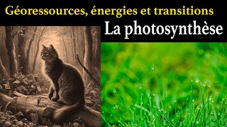 La photosynthèse un processus fondamental sur Terre [upl. by Onairotciv]