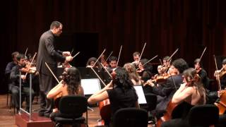 Beethoven 7th Symphony  2nd movement  Allegretto [upl. by Airemat95]