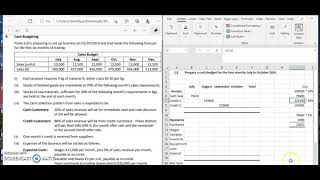 2019  DEB  Cash Budget  PART C  Receipt Section Poole LTD [upl. by Atekehs607]