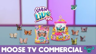 Little Live Pets  Butterfly [upl. by Pike]