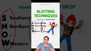 Blotting Techniquesbiochemistry neet fmgs shortvideos [upl. by Deadman]