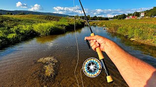 Urban Creek Fly Fishing for Bass [upl. by Evans]