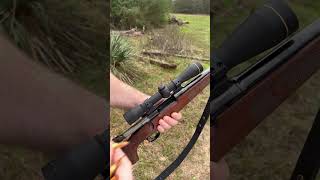 Winchester Model 70 Featherweight 243 Winchester Gone Hunting [upl. by Anelas]