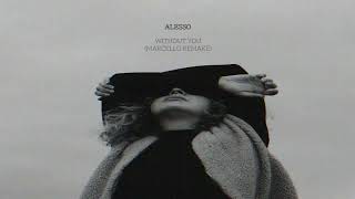 Alesso  Without You MARCELLO Remake [upl. by Atnoled]