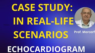 Wall Evaluation in Coronary Disease Case 1 [upl. by Androw]