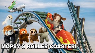 Mopsy The Dog Mopsy’s Roller Coaster [upl. by Noiro49]